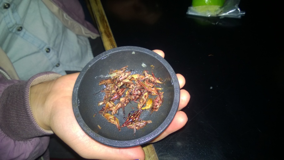 Eating Grasshoppers after partying in Tijuana, Mexico